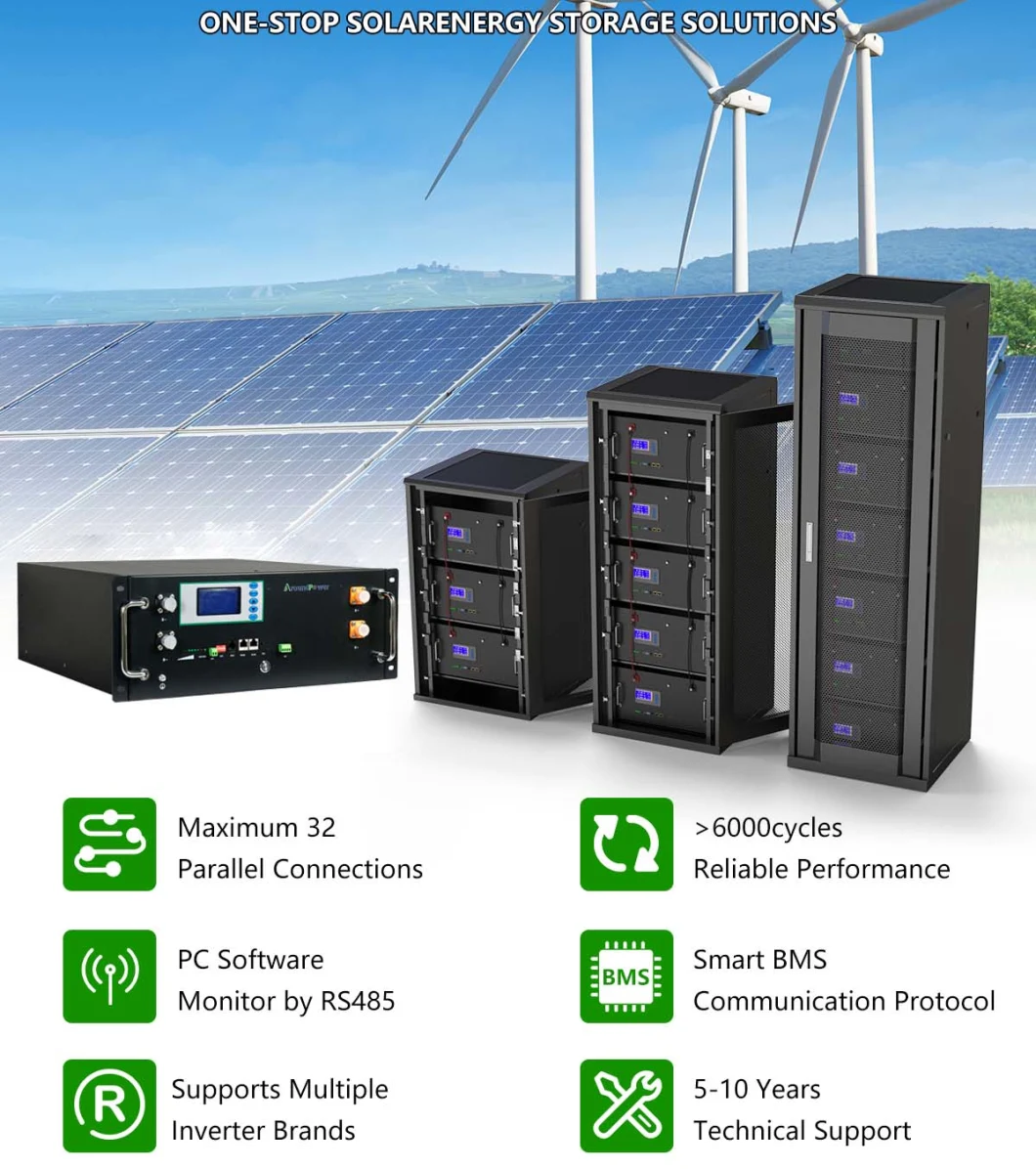 Lithium Ion Battery Solar Storage Battery Power Supply 48V